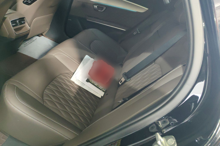 BYD Han 2023 imagen de coche #17