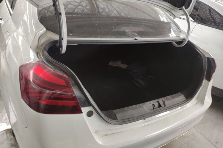 GEELY Emgrand New Energy 2021 car image #19