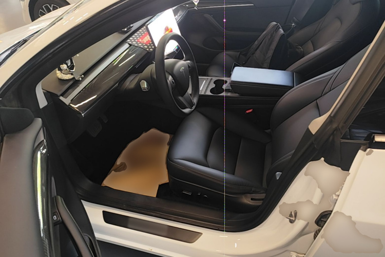 Tesla Model 3 2022 #16 Tesla Model 3 2022 car image #16