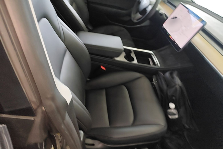 Tesla Model 3 2021 #24 Tesla Model 3 2021 car image #24