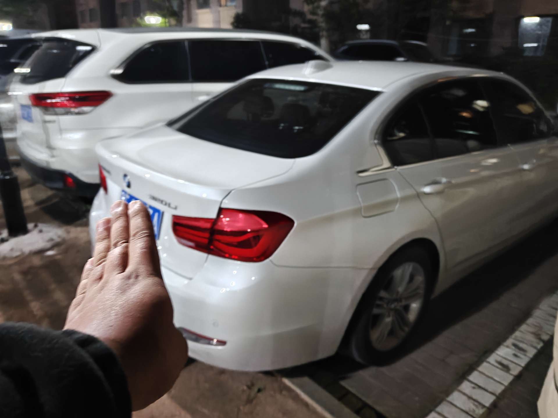 BMW 3 Series 2017 #3 BMW 3 Series 2017 imagen de coche #3