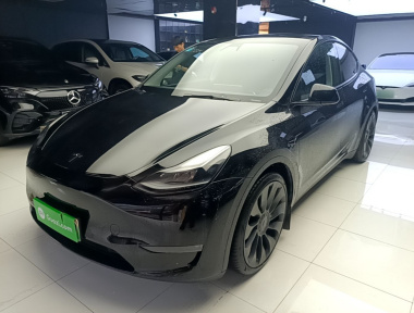 Tesla Model Y 2021 car image 