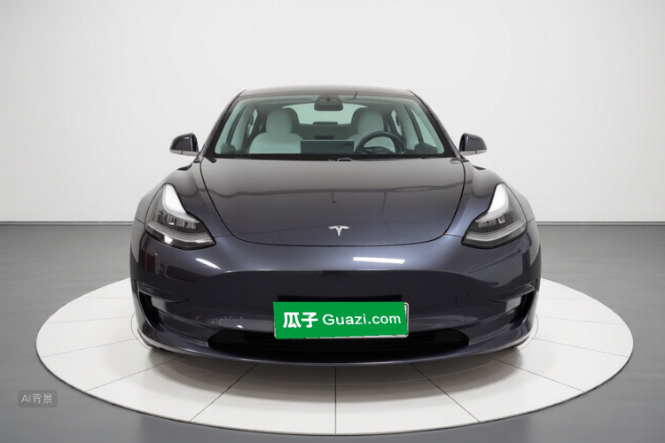 Tesla Model 3 2020 #3 Tesla Model 3 2020 car image #3