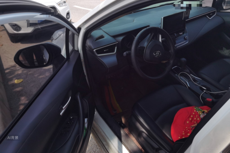 Toyota Corolla 2021 car image #18