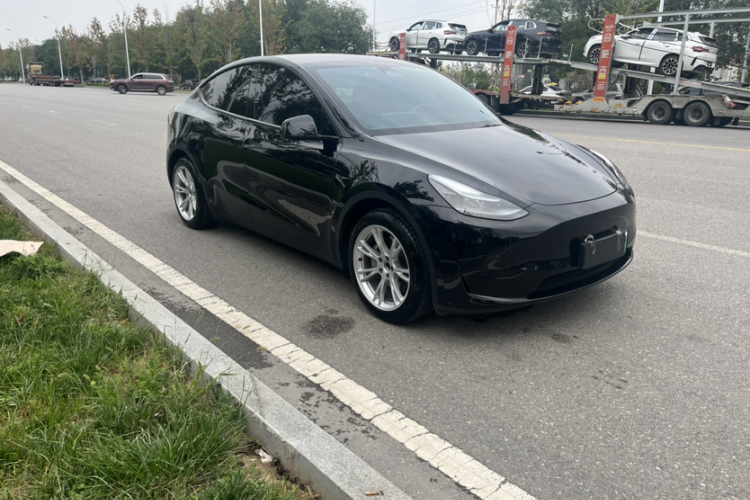 Tesla Model Y 2023 #6 Tesla Model Y 2023 car image #6