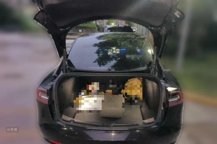 Tesla Model 3 2022 immagine di auto #21