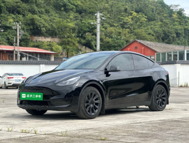 Tesla Model Y 2022 Tesla Model Y 2022 car image