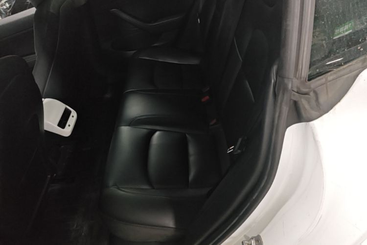 Tesla Model 3 2020 car image #17