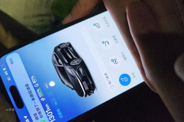 BYD Han 2024 car image #10