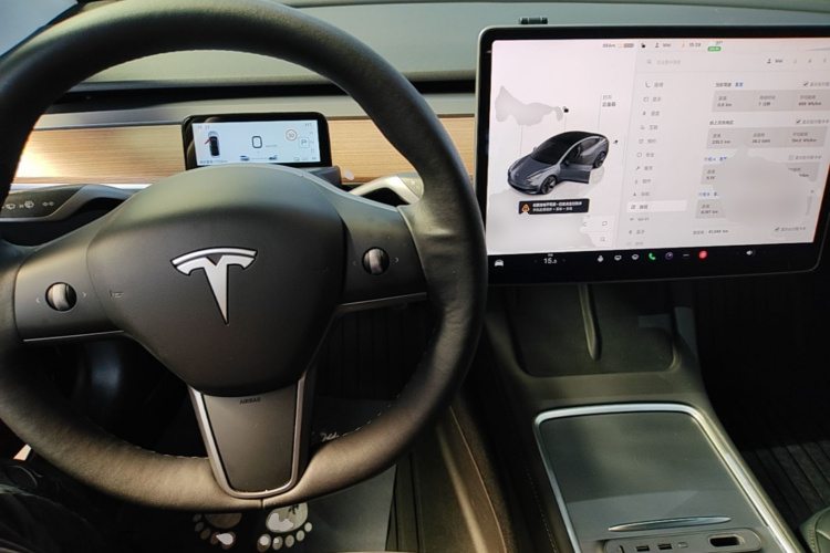 Tesla Model 3 2022 #11 Tesla Model 3 2022 car image #11