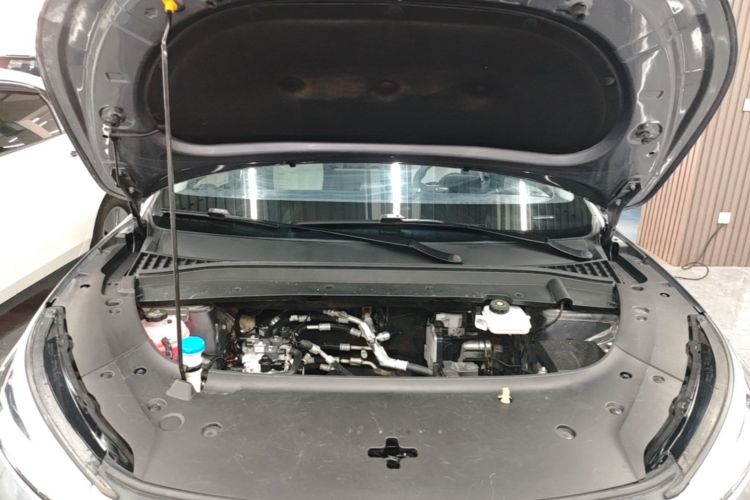 BYD Yuan Plus 2022 car image #20