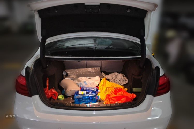 BMW 3 Series 2017 car image #21