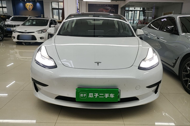 Tesla Model 3 2020 #3 Tesla Model 3 2020 car image #3