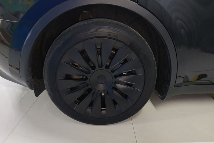 Tesla Model Y 2023 car image #10