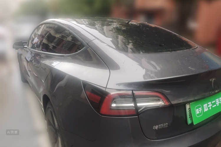 Tesla Model 3 2021 immagine di auto #5