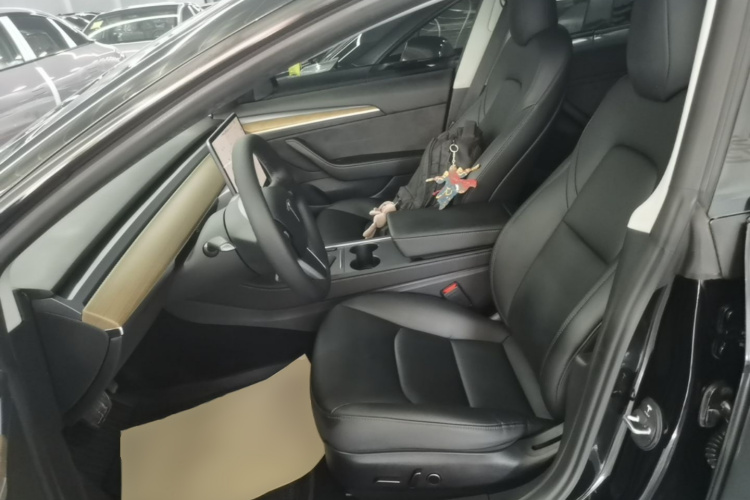 Tesla Model 3 2021 #15 Tesla Model 3 2021 car image #15