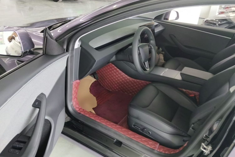 Tesla Model 3 2023 #12 Tesla Model 3 2023 car image #12