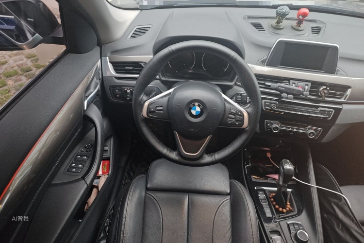 BMW X1 2019 car image #12