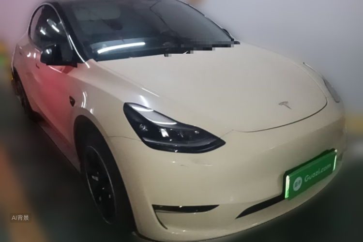Tesla Model Y 2021 car image #4