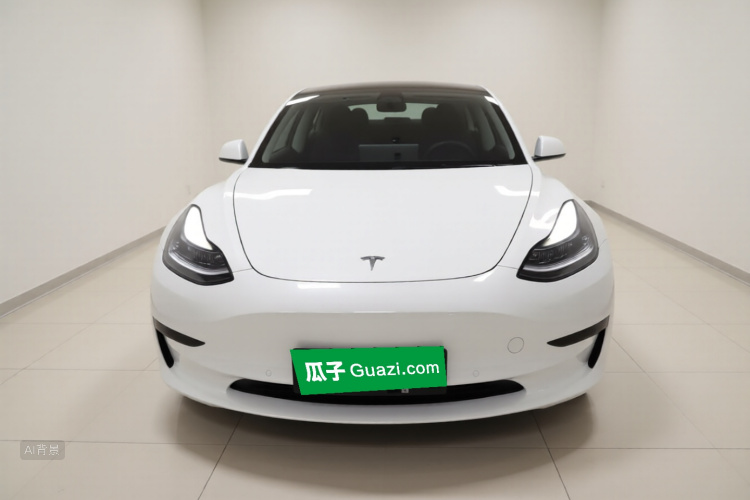Tesla Model 3 2021 car image #3
