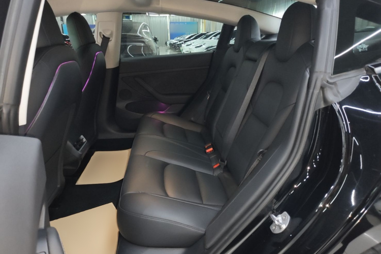 Tesla Model 3 2021 car image #17