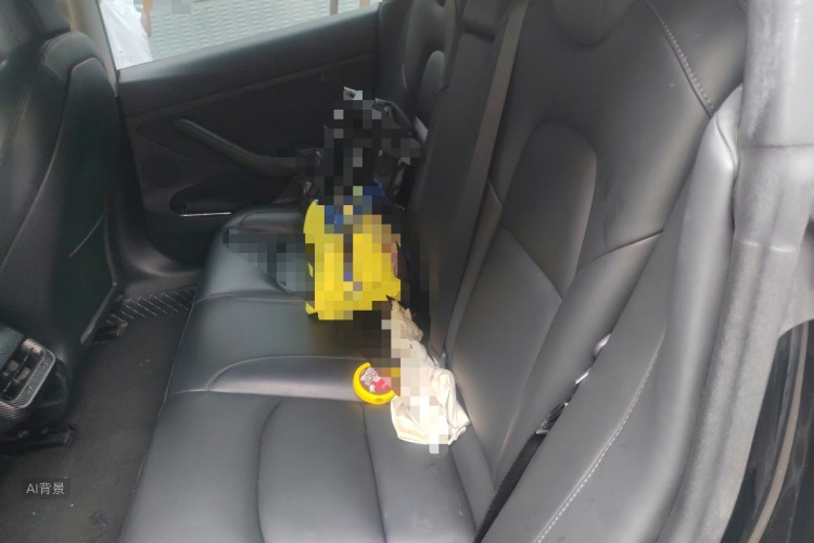 Tesla Model 3 2021 car image #19
