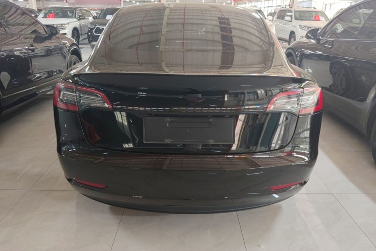 Tesla Model 3 2021 #6 Tesla Model 3 2021 car image #6