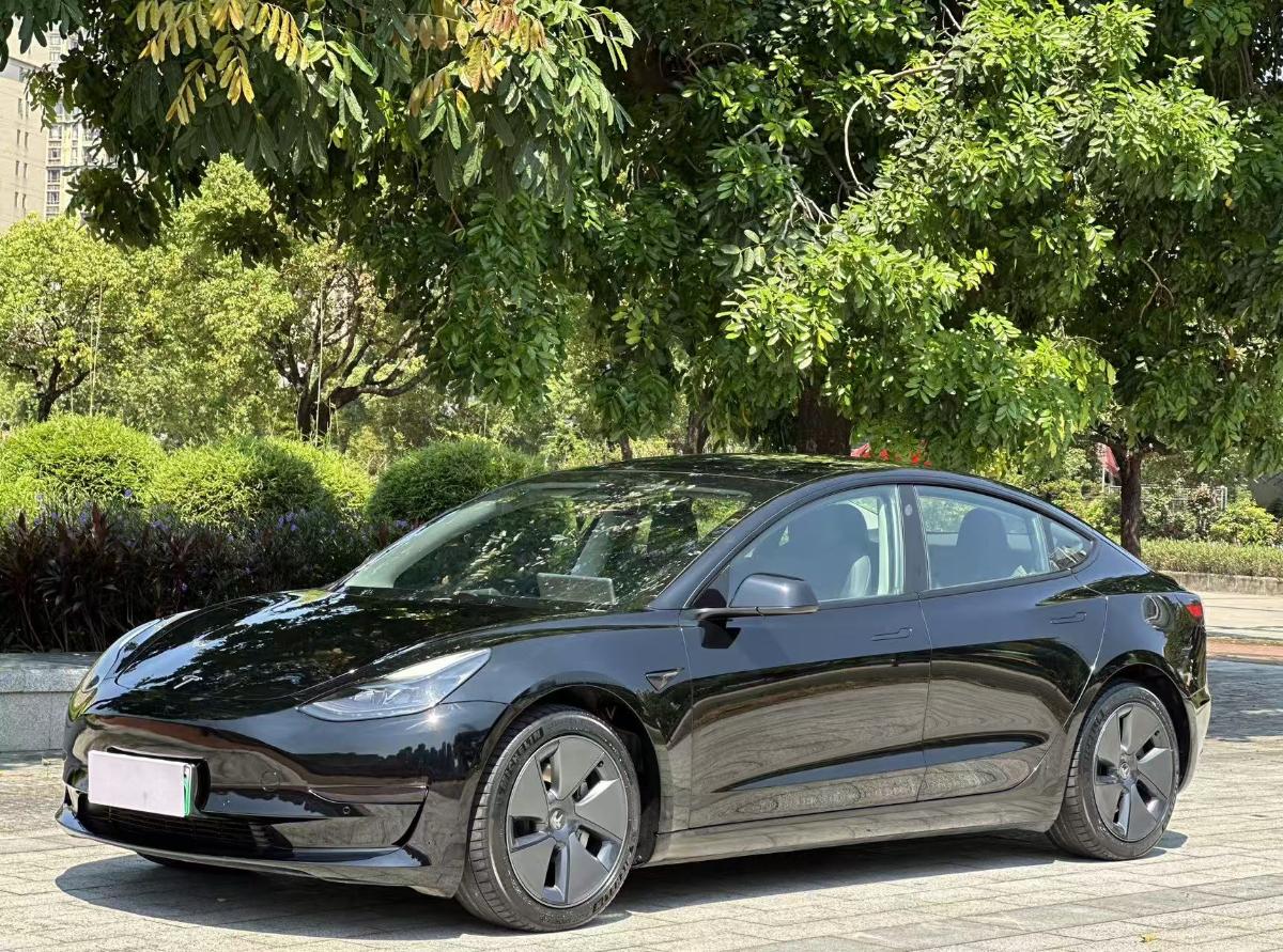 Tesla Model 3 2021 Tesla Model 3 2021 car image