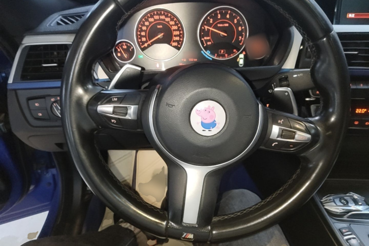 BMW 3 Series GT 2018 car image #11