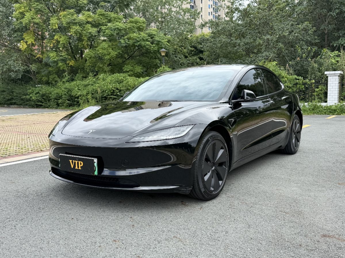 Tesla Model 3 2024 car image 