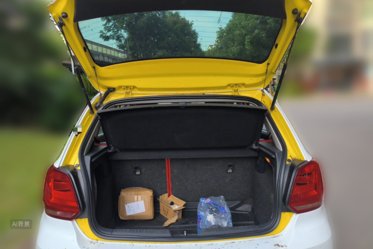 Volkswagen Polo 2015 car image #21