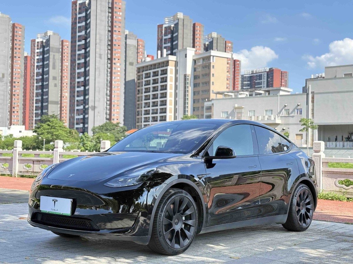 Tesla Model Y 2022 car image 