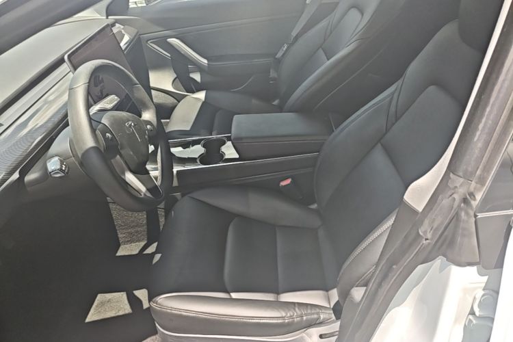 Tesla Model 3 2020 car image #15