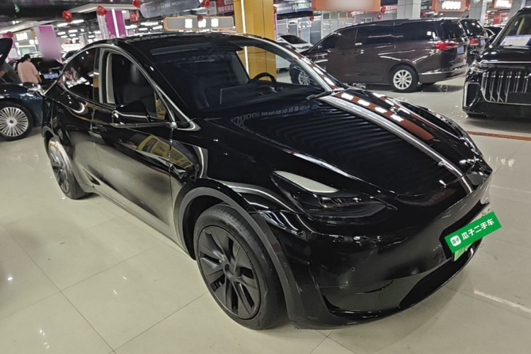 Tesla Model Y 2023 immagine di auto #4