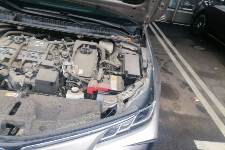 Toyota Corolla 2021 car image #24