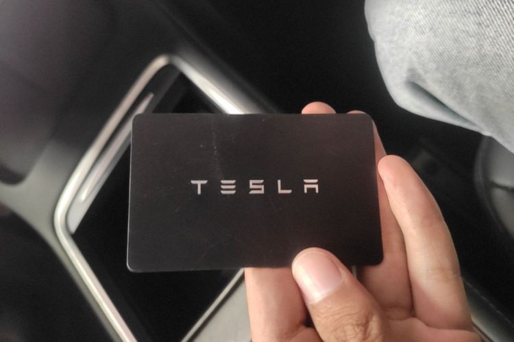 Tesla Model Y 2023 #9 Tesla Model Y 2023 صورة سيارة #9