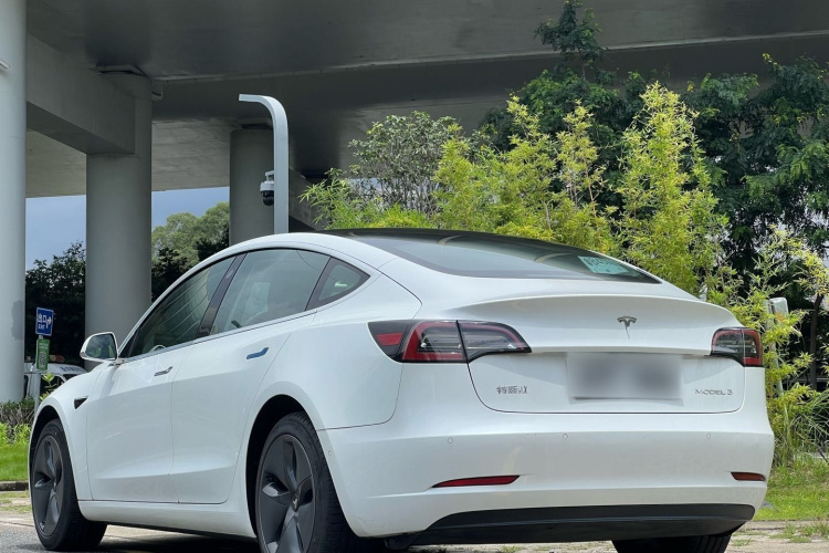 Tesla Model 3 2020 #6 Tesla Model 3 2020 car image #6