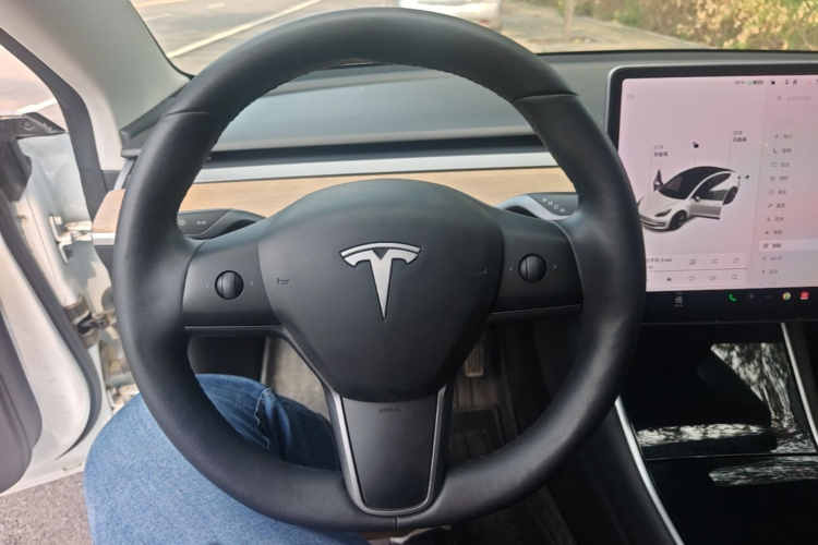 Tesla Model 3 2020 car image #11