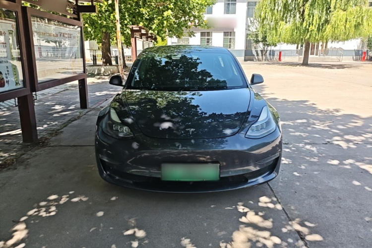 Tesla Model 3 2021 #3 Tesla Model 3 2021 car image #3
