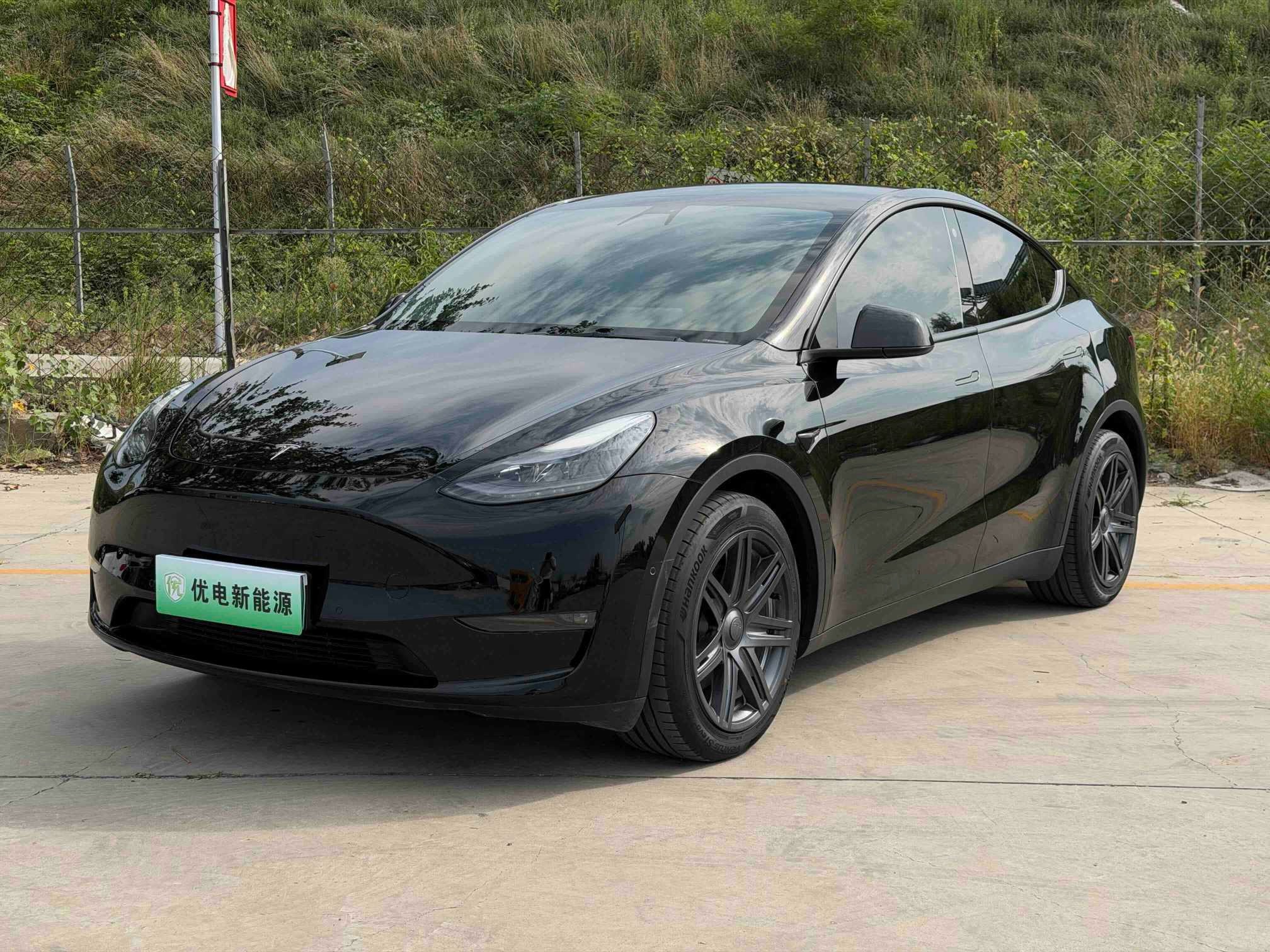 Tesla Model Y 2024 car image 