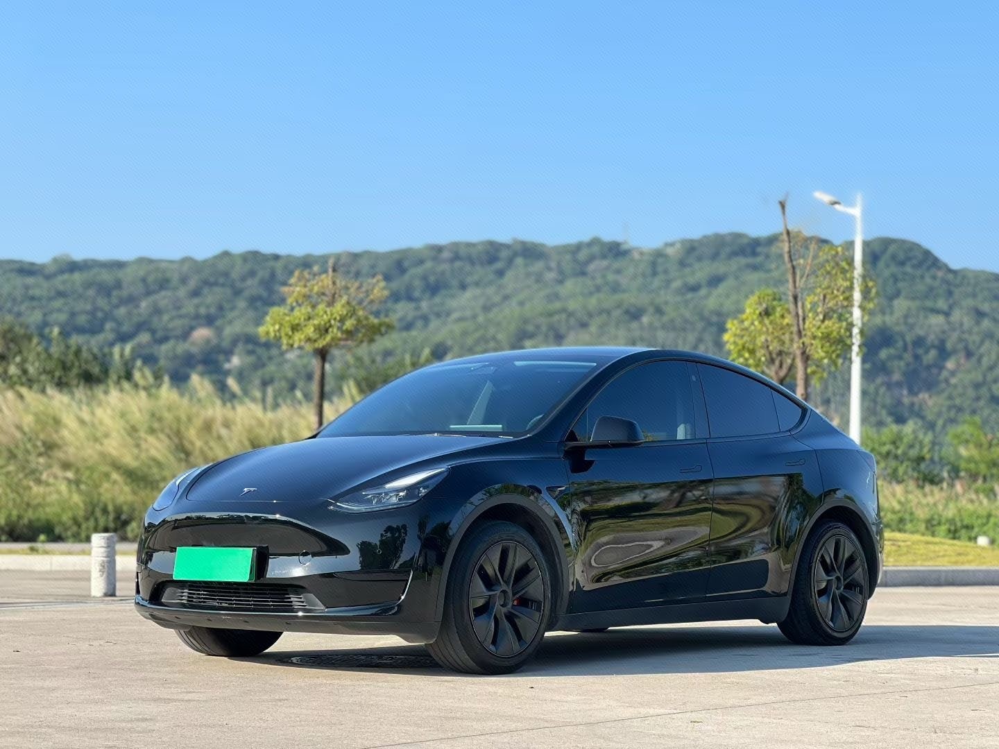 Tesla Model Y 2024 car image 