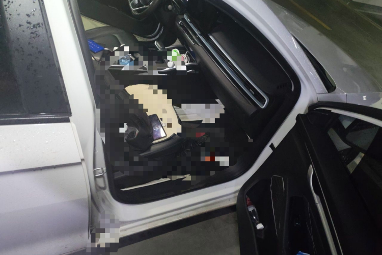 GEELY Emgrand 2022 immagine di auto #22