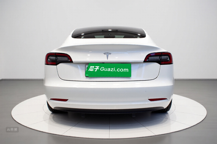 Tesla Model 3 2022 car image #6
