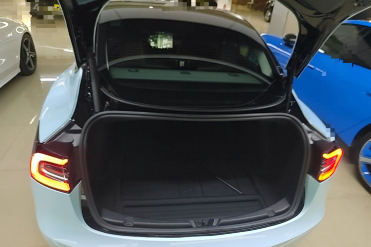 Tesla Model 3 2021 #21 Tesla Model 3 2021 car image #21