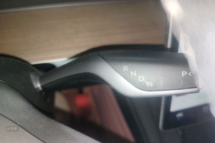 Tesla Model Y 2021 #16 Tesla Model Y 2021 صورة سيارة #16