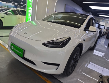 Tesla Model Y 2024 Tesla Model Y 2024 car image