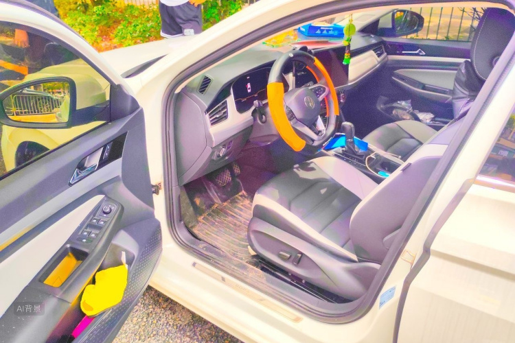 Volkswagen Bora 2024 car image #18