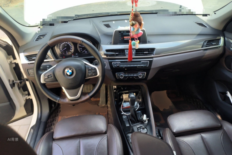 BMW X1 2019 imagen de coche #11