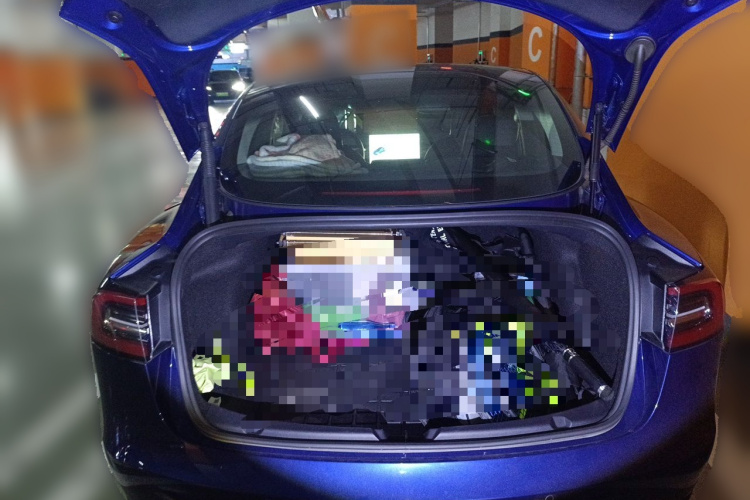 Tesla Model 3 2021 car image #21
