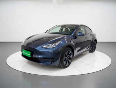 Tesla Model Y 2024 Tesla Model Y 2024 car image
